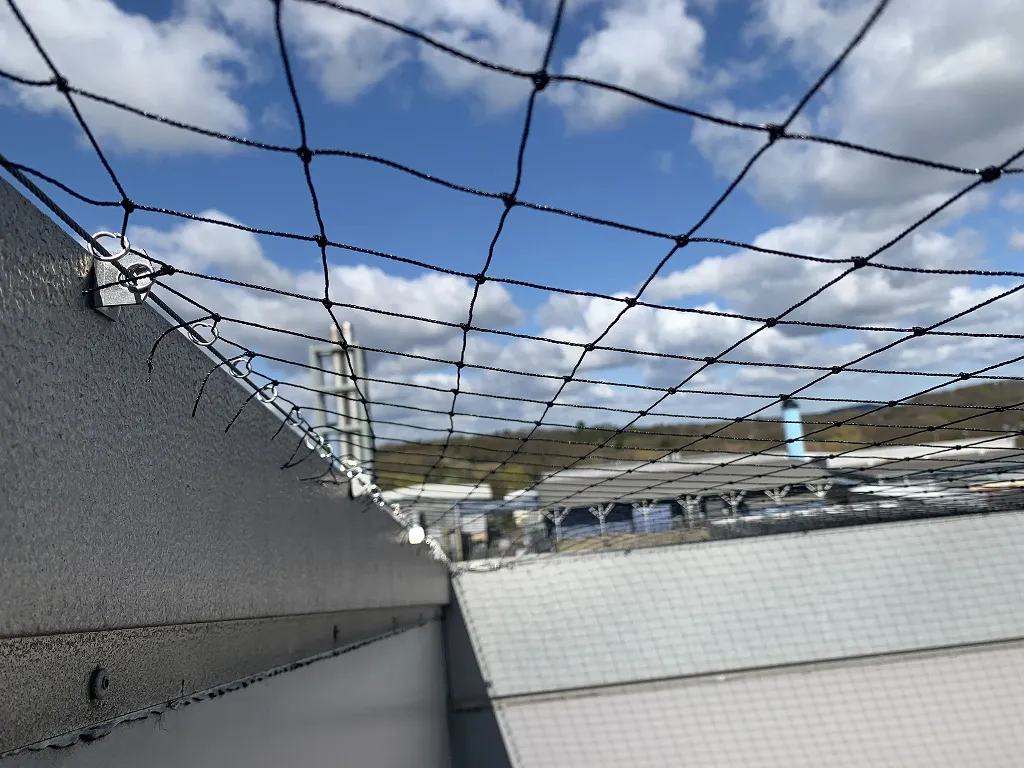 Effective Bird Proofing Solutions UK | Pigeon Nets, Spikes & More ...